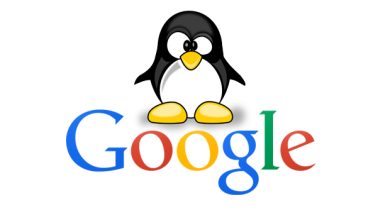 Google Penguin Algoritması nedir