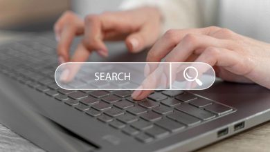 SEO Danışmanı